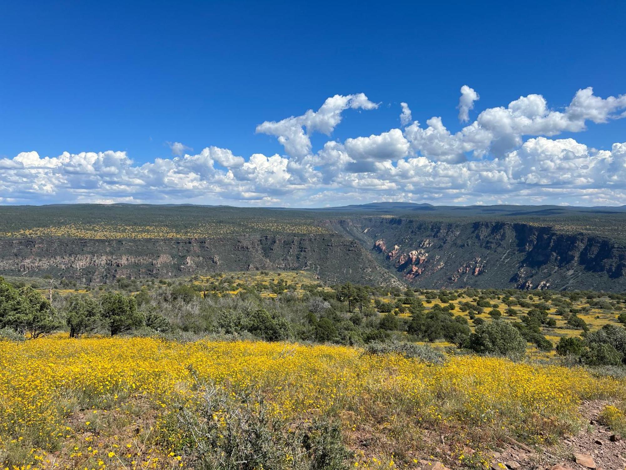 Trendy 3br In Sedona: Hot Tub/fire-pit /central Location Сasa de vacaciones